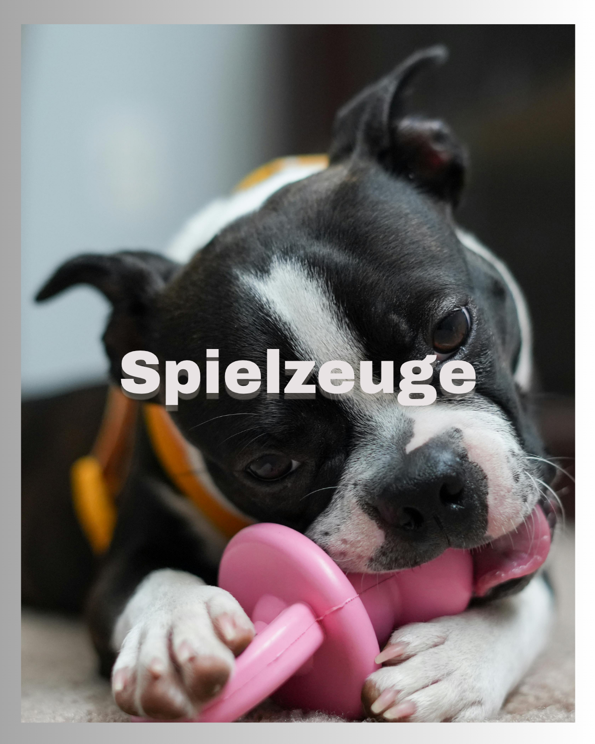 Spielzeuge